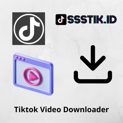 Tiktok Video Downloader